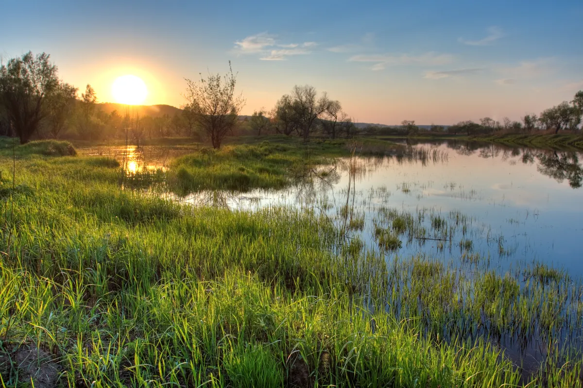 Blick auf ein Moor